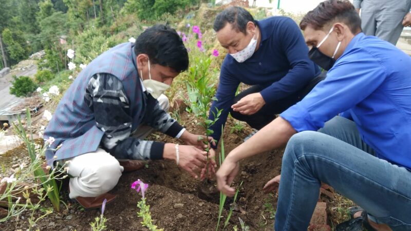 विश्व पर्यावरण दिवस पर डीएम पौड़ी ने खण्डूसैंण बगीचे में किया माल्टा का वृक्षारोपण