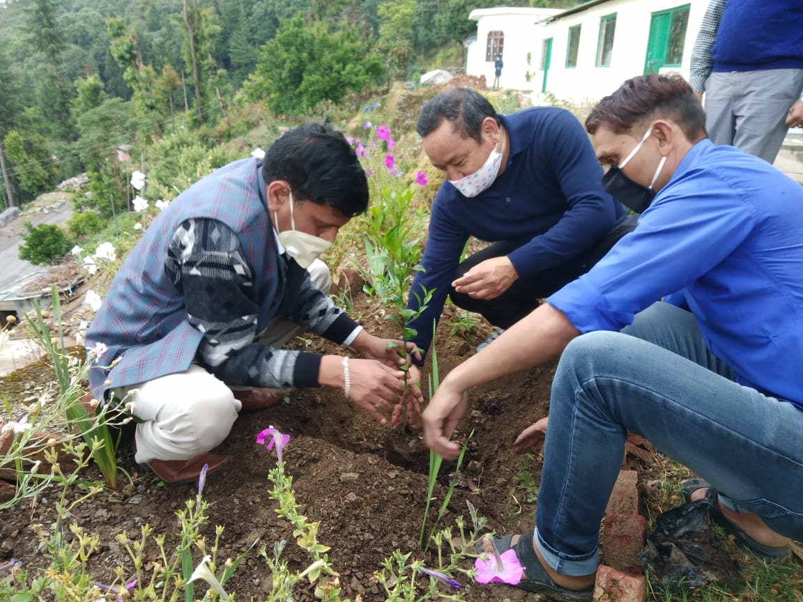 विश्व पर्यावरण दिवस पर डीएम पौड़ी ने खण्डूसैंण बगीचे में किया माल्टा का वृक्षारोपण