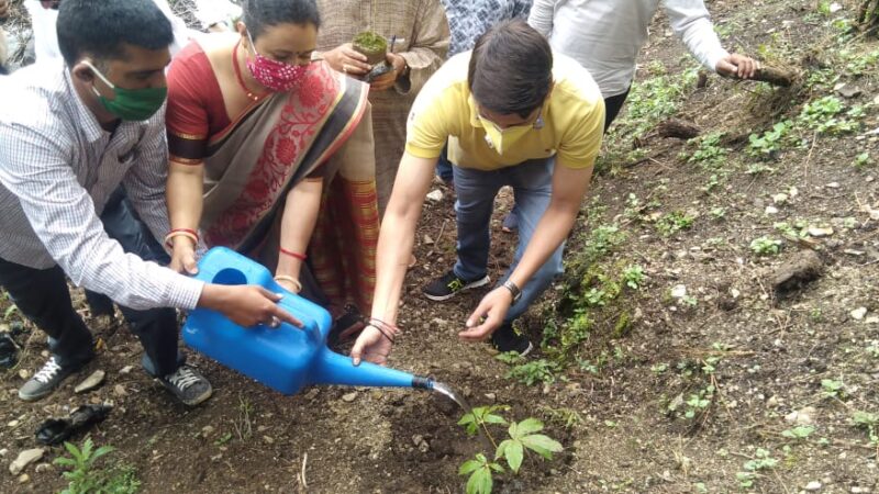 टिहरी में स्व.इंद्रमणि बडोनी स्मृति वन वाटिका से किया हरेला का शुभारंभ