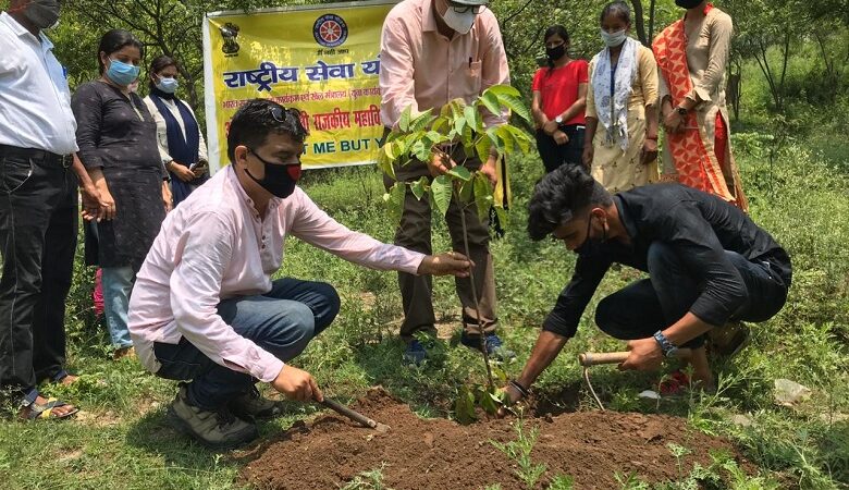 हरेला पर्व: राजकीय महाविद्यालय देवप्रयाग परिसर में वृक्षारोपण