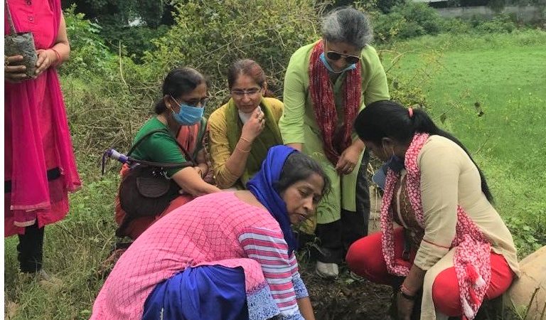 गौरा देवी जैव-विविधता तालाब संरक्षण हेतु हेरला पर्व में वृक्षारोपण