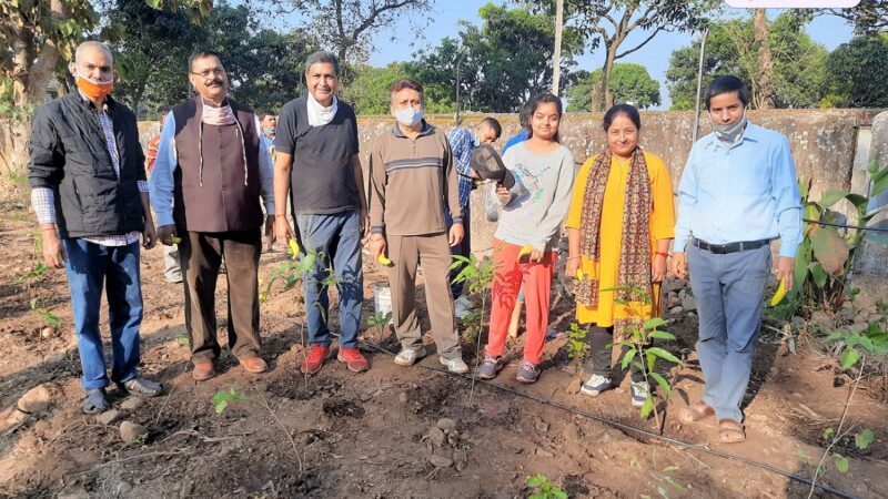 प्रदेश का प्रथम सघन वन – मात्र 870 वर्ग फ़ीट में 20 प्रजातियों के 151 पौधों का रोपण कर मनाया गया विजय दशमी पर्व