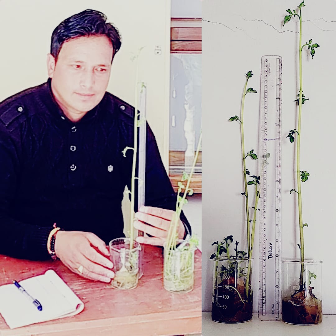 गज़ब: भरत ने हाइड्रोपोनिक्स तकनीक  से प्रयोगशाला में उगाये आलू के पौधे