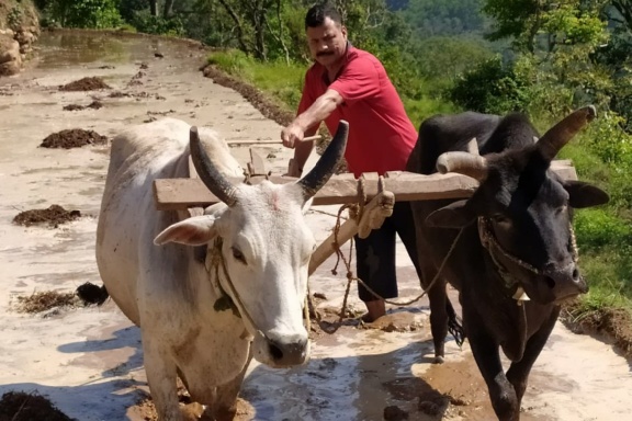 अब नौटंकी करने वाले नेताओं को गांव में खेती-खलियानी करने को करूंगा मजबूर-धनै