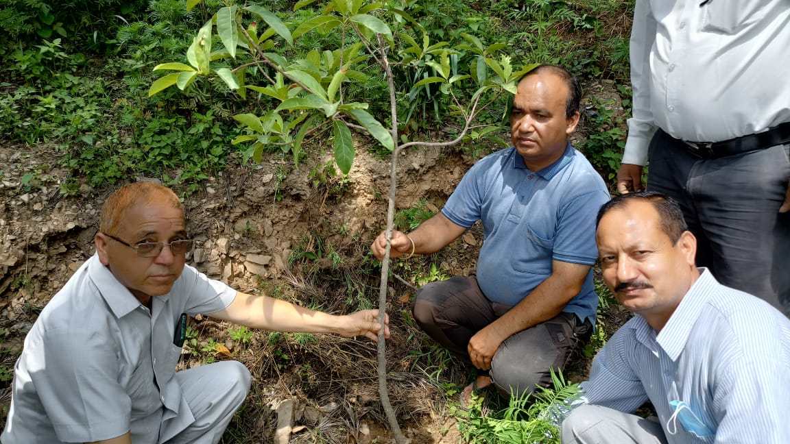 अटल उत्कृष्ट विद्यालय पौड़ीखाल में हरेला पर किया गया वृक्षारोपण