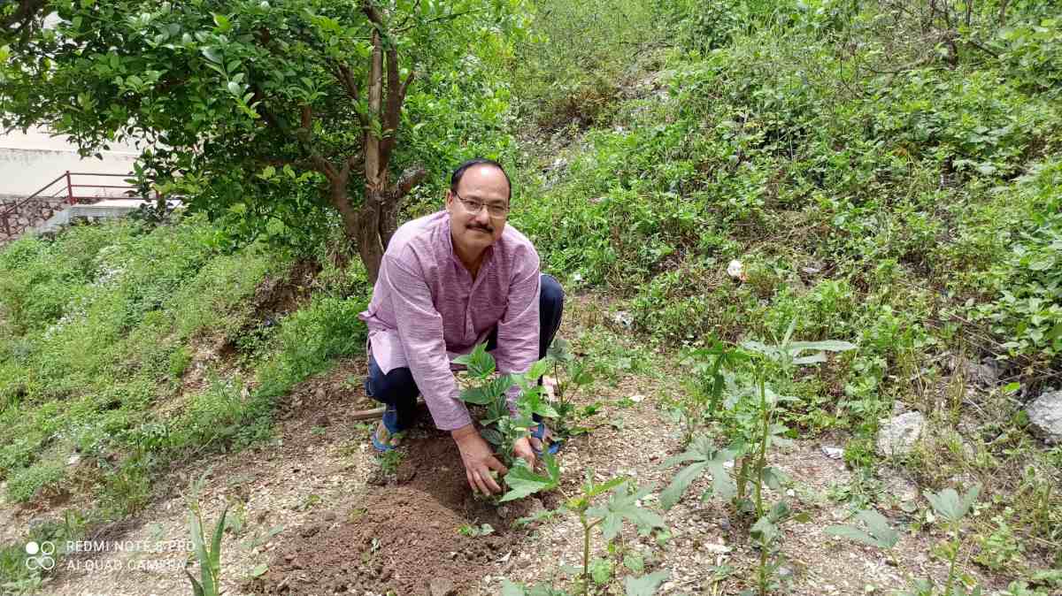 कुलपति डॉक्टर ध्यानी ने लगाया पारिजात का पौधा, जानिए कारण और महत्व