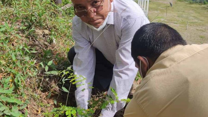 अटल उत्कृष्ट विद्यालय राइंका पौड़ी खाल का शिक्षा मंत्री ने किया वर्चुअल उद्घाटन