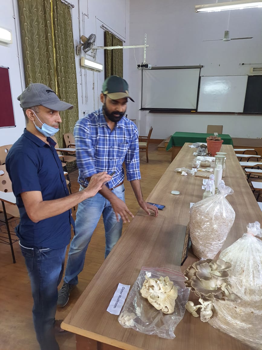 औषधीय और खाद्य मशरूम की खेती पर वर्चुअल प्रशिक्षण सह प्रदर्शन कार्यक्रम