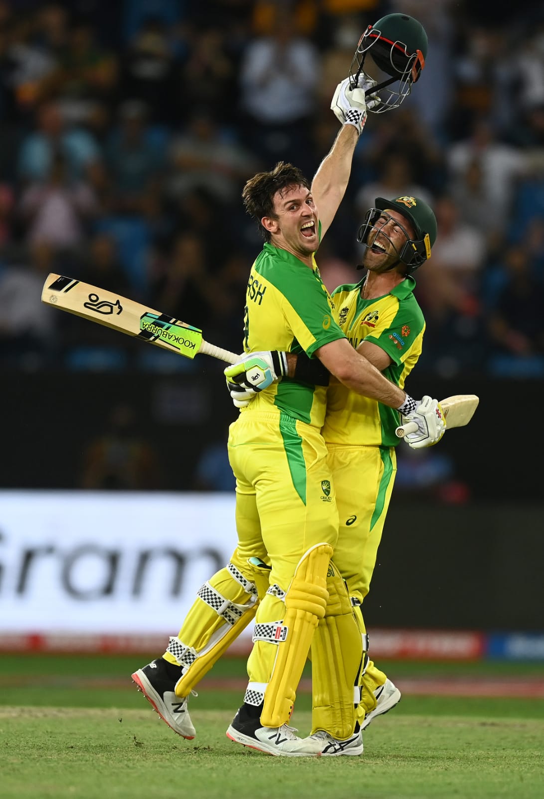 ऑस्ट्रेलिया बना टी 20 का बादशाह, न्यूजीलैंड को 8 विकेट से हराया