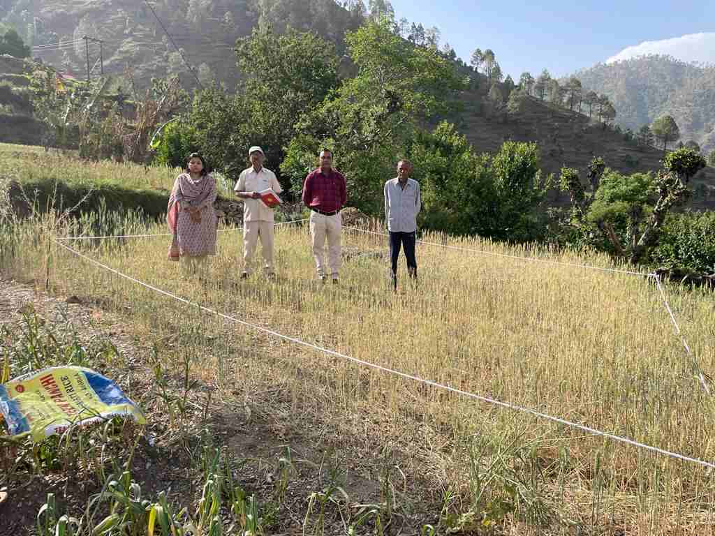 क्रॉप कटिंग के आधार पर ही फसल की औसत उत्पादन की मिलती है सटीक जानकारी-नमामि बंसल