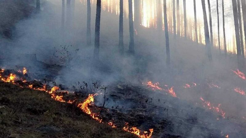 वनाग्नि को लेकर कोतवाली टिहरी में प्राथमिकी हुई पंजीकृत