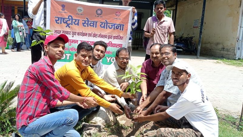 राष्ट्रीय सेवा योजना के स्वयंसेवियो ने श्री देव सुमन उत्तराखंड विश्वविद्यालय परिसर में किया वृक्षारोपण