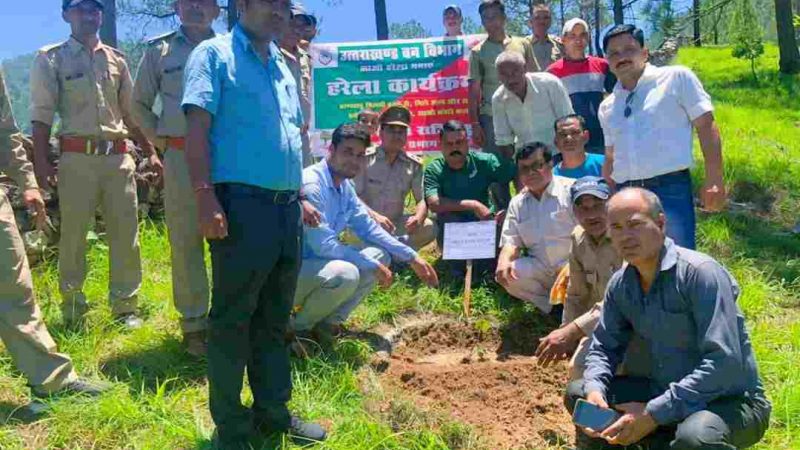 घनसाली क्षेत्र में बड़ी संख्या में छात्र-छात्राओं ने  हरेला पर्व पर किया वृक्षारोपण