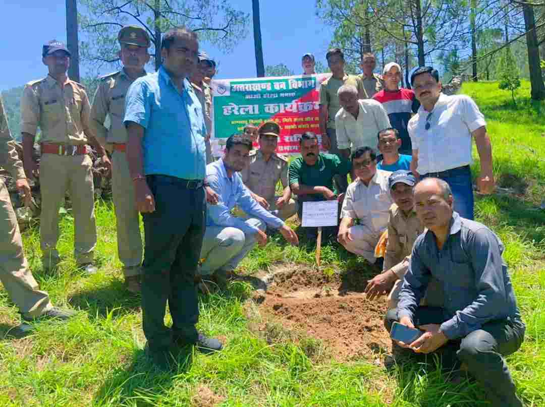 घनसाली क्षेत्र में बड़ी संख्या में छात्र-छात्राओं ने  हरेला पर्व पर किया वृक्षारोपण