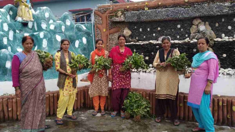 औषधीय पौधौं की खेती से दुगुनी आय अर्जित कर सकते हैं किसान- सुशील बहुगुणा