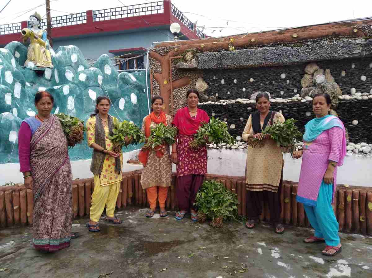 औषधीय पौधौं की खेती से दुगुनी आय अर्जित कर सकते हैं किसान- सुशील बहुगुणा