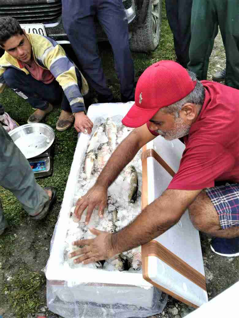 यहां लगेगा मछली वैक्यूम पैकेजिंग प्लांट