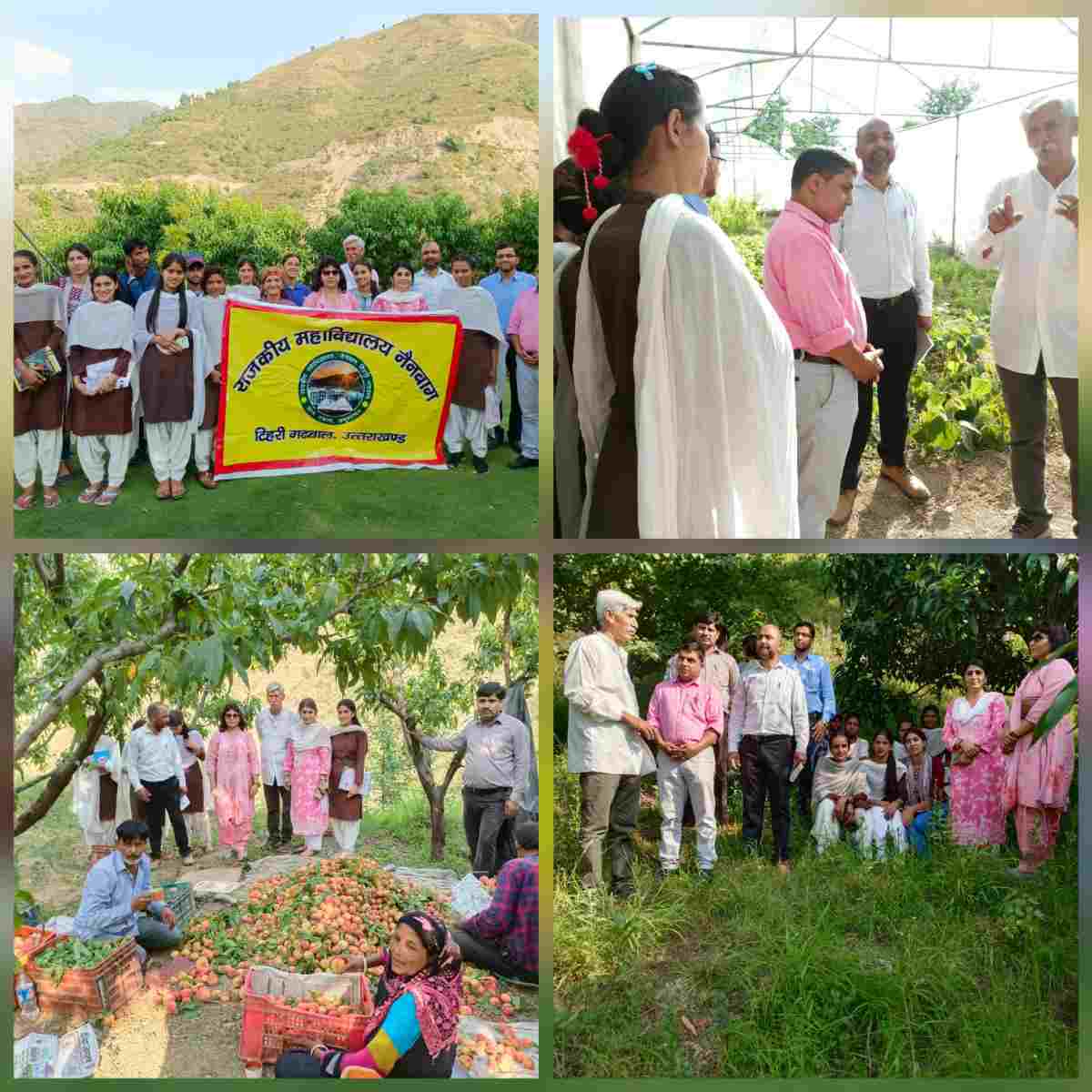 राजकीय महाविद्यालय नैनबाग के छात्रों ने नारायणी नक्षत्र पौधशाला में नर्सरी तैयार करने का लिया प्रशिक्षण