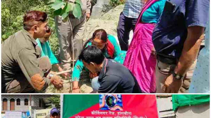 विश्व पर्यावरण दिवस पर कीर्तिनगर रेंज ने रैली व वृक्षारोपण कर दिया पर्यावरण संरक्षण का संदेश