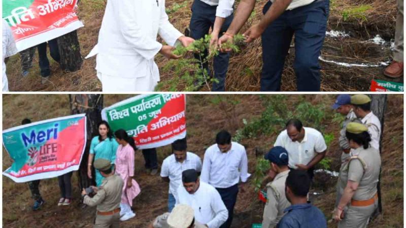 विश्व पर्यावरण दिवस पर  विधायक ने किया पौध रोपण