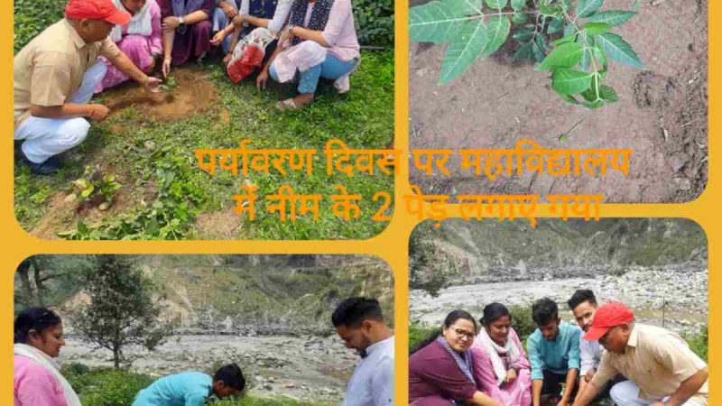 महाविद्यालय अगस्त्यमुनि में मनाया गया पर्यावरण दिवस