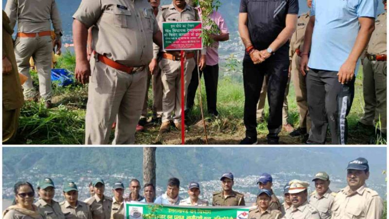 विधायक ने पौधारोपण कर हरेला पर्व कार्यक्रम का किया शुभारंभ