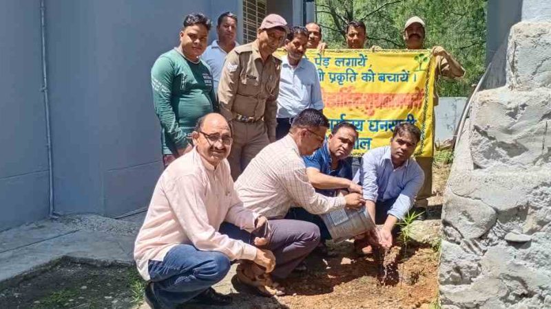 मानव समूह द्वारा बृक्षा रोपण कर वन एवं पर्यावरण की सुरक्षा ही हरेला पर्व है- के.एन. गोस्वामी, एसडीएम घनसाली