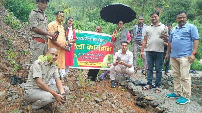 भारी बारिश में पौधरोपण करते हुए मनाया हरेला पर्व