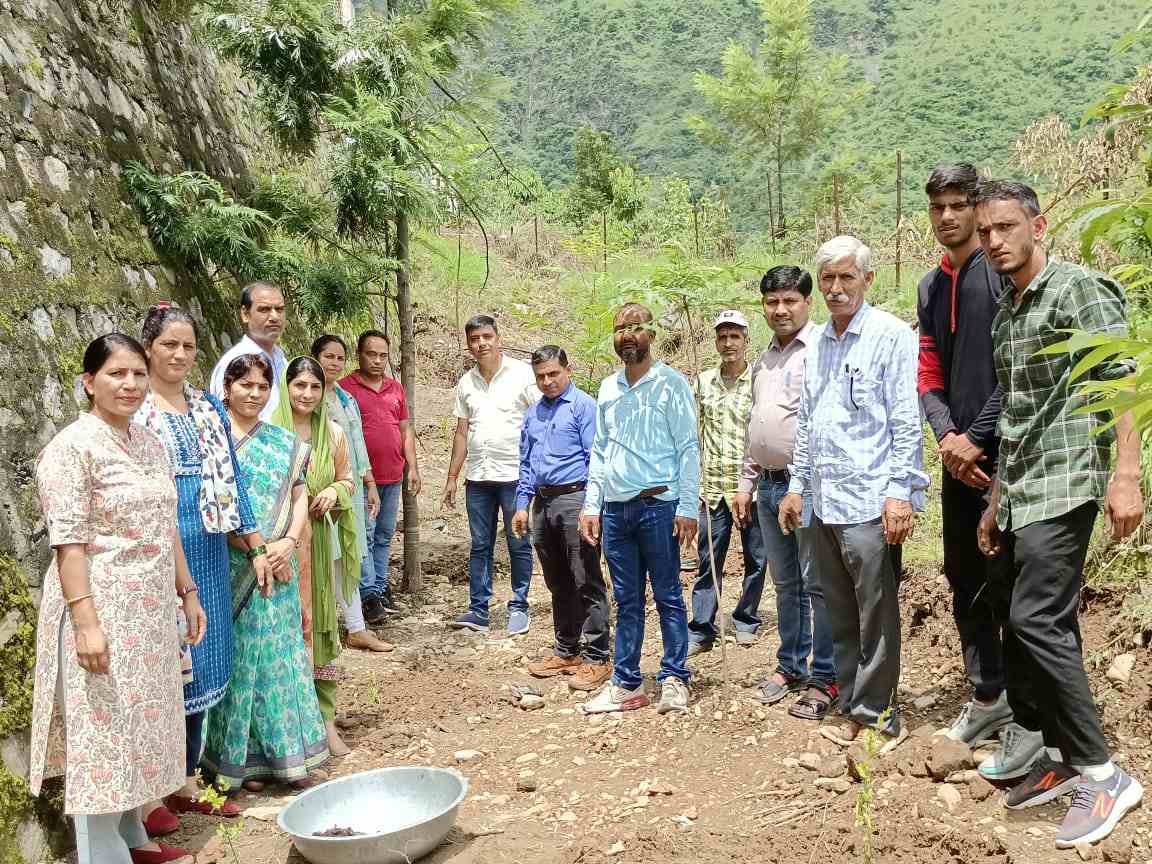 हरेला पर्व पर किया वृक्षारोपण