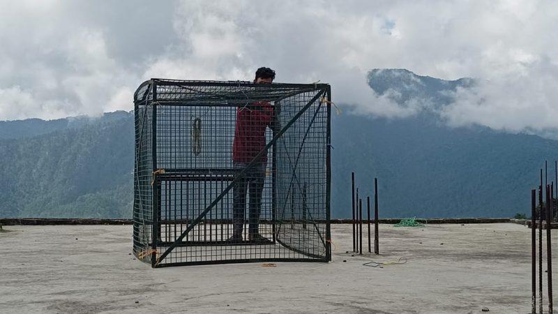 बंदरों को पकड़ने के लिए यहां लगाया गया पिंजरा