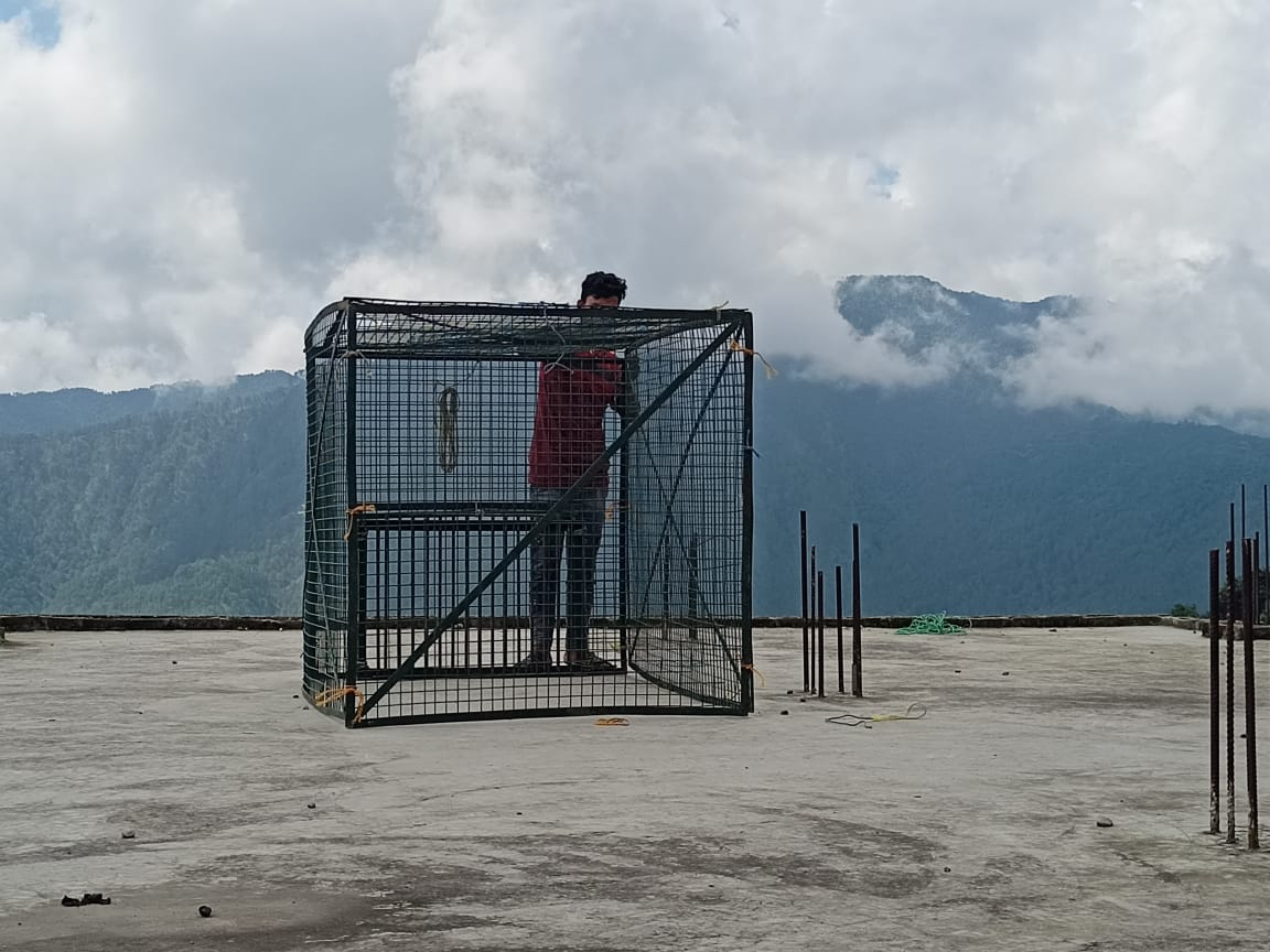 बंदरों को पकड़ने के लिए यहां लगाया गया पिंजरा