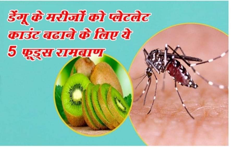 डेंगू के मरीजों को प्लेटलेट काउंट बढाने के लिए ये 5 फूड्स रामबाण- डॉ हृदयेश कुमार