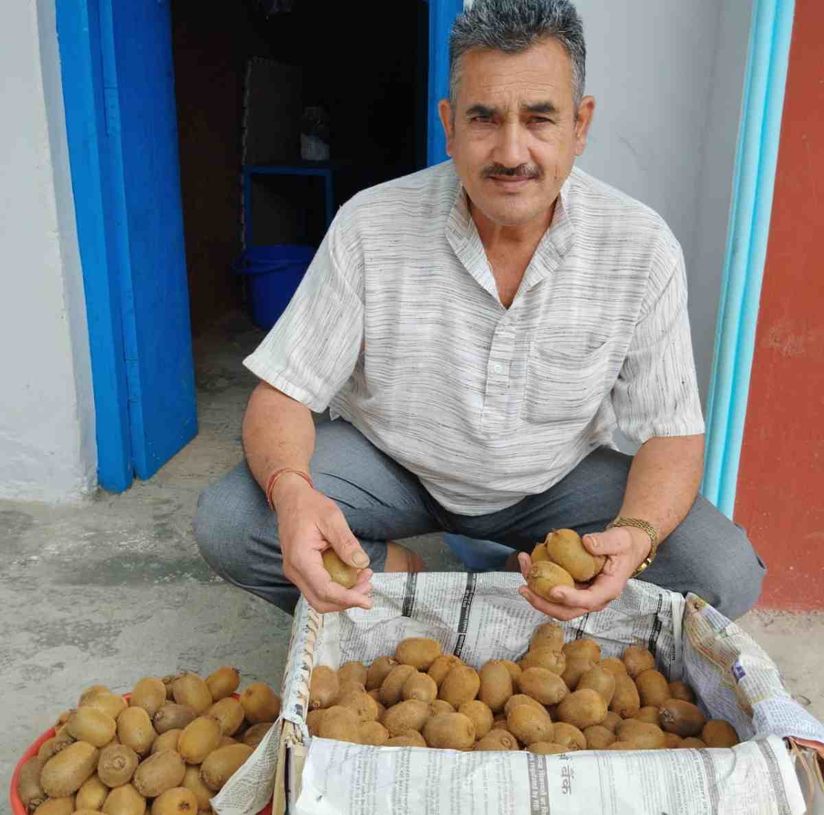 डेंगू में रामबाण औषधि है कीवी फल,रंग लाई कीवी मैन और कीवी क्वीन की मेहनत