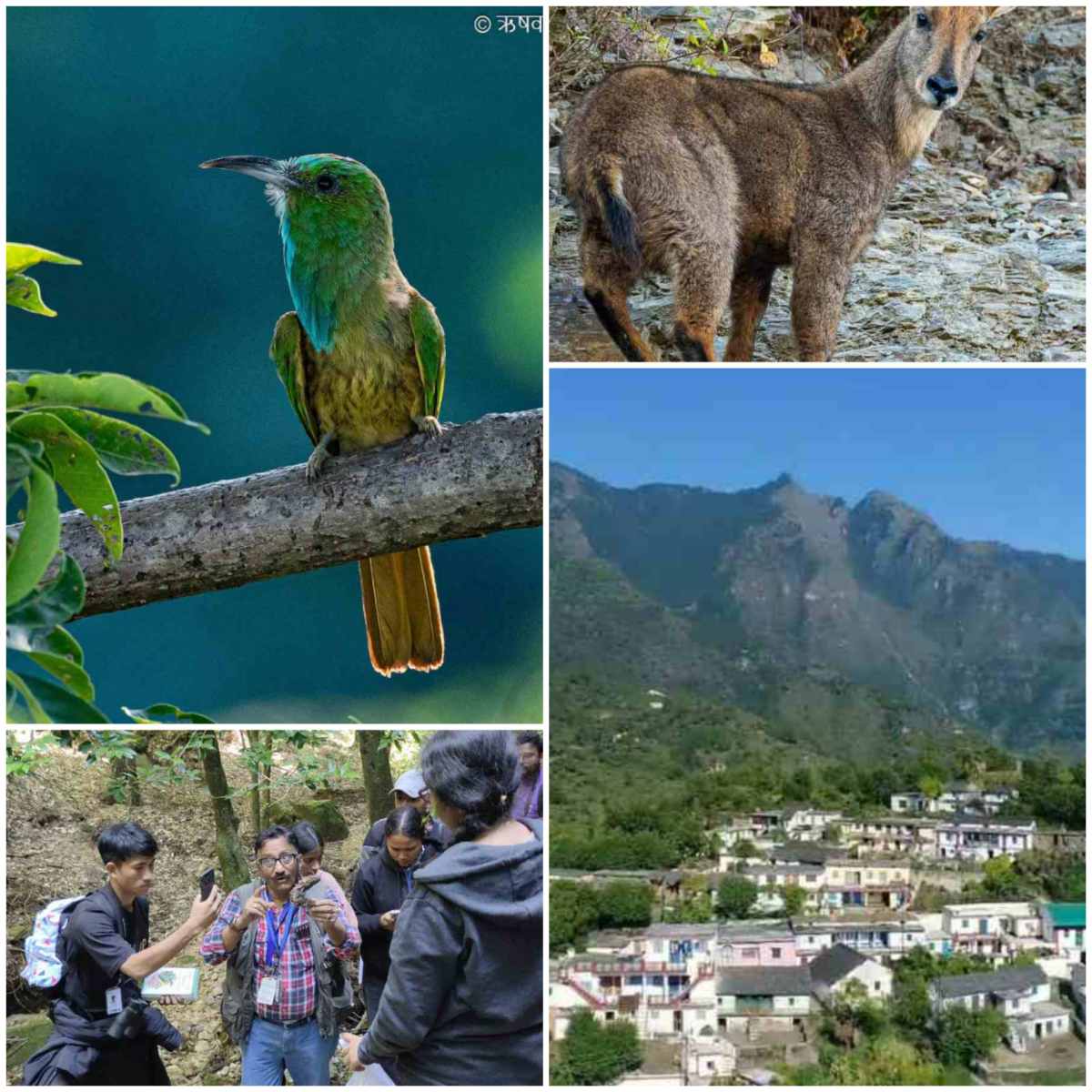 ऐतिहासिक ग्राम सभा धारकोट की जैव विविधता, ऐतिहासिक महत्व व संस्कृति से जुड़े तथ्यों को अब जानने लगे हैं देश-विदेश में रहने वाले शोधकर्ता