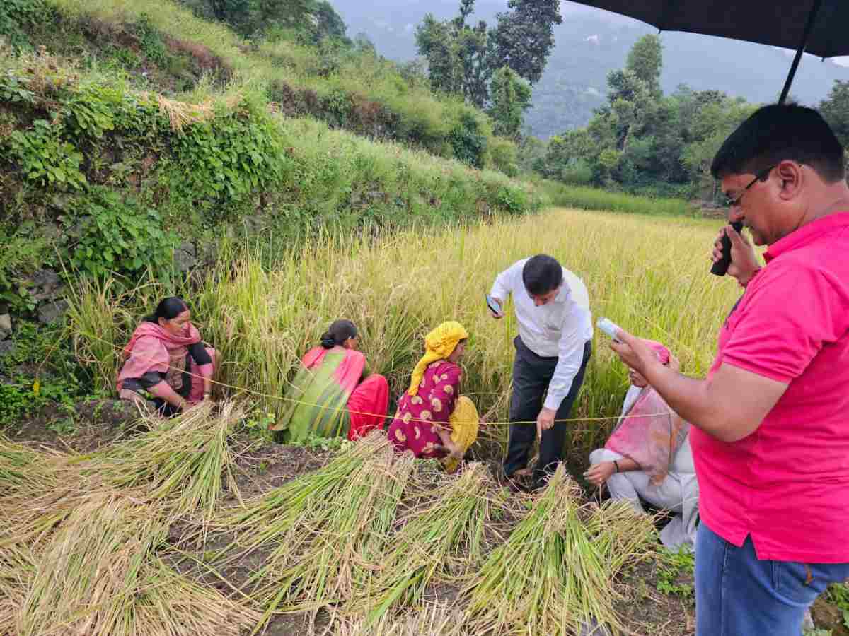 एडीएम ने फसलों की औसत उपज और उत्पादन के आंकड़े किए संकलित