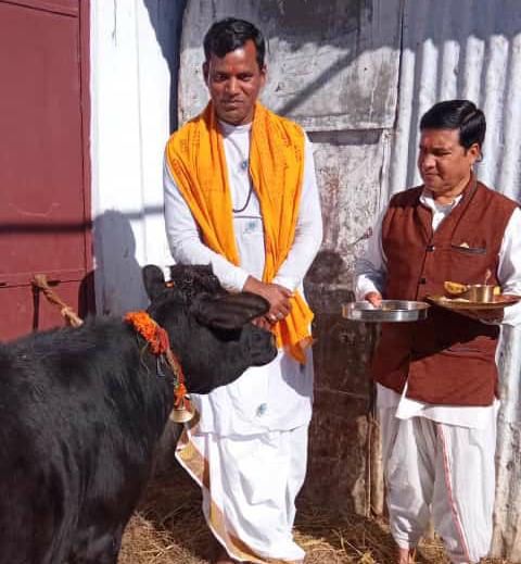 गोपाष्टमी के शुभ अवसर पर गौ पूजन किया