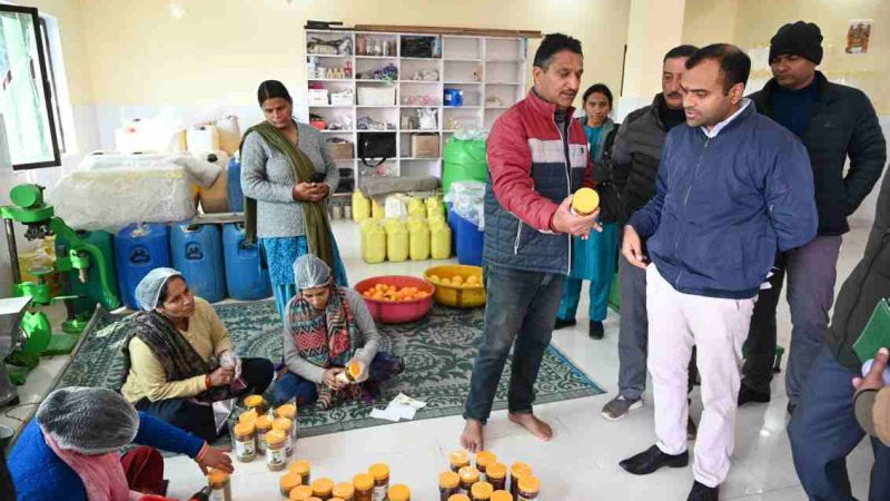 जिलाधिकारी मयूर दीक्षित ने सरकार जनता के द्वार कार्यक्रम के तहत ग्राम चोपड़ियाल गांव का किया निरीक्षण