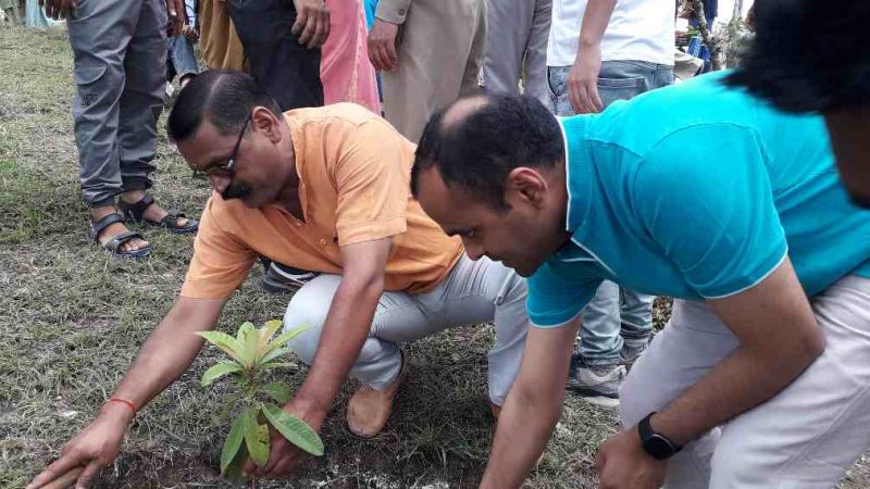 हरेला पर्व पर जनपद में किया बृहद वृक्षारोपण