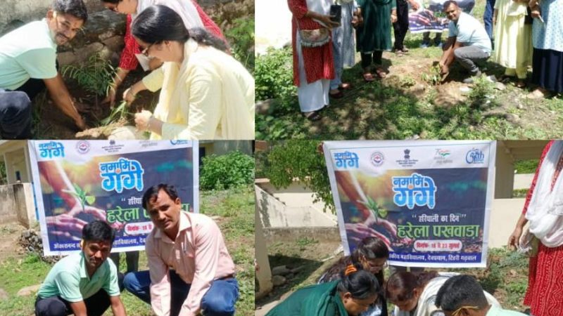 ओंकारानंद सरस्वती राजकीय महाविद्यालय में ‘हरेला पखवाड़ा’ के तहत वृक्षारोपण कार्यक्रम का आयोजन