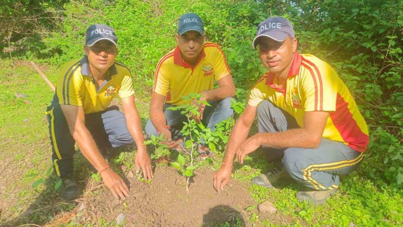 हरेला पर्व के अवसर पर SDRF टीम द्वारा वृक्षारोपण कार्यक्रम का आयोजन