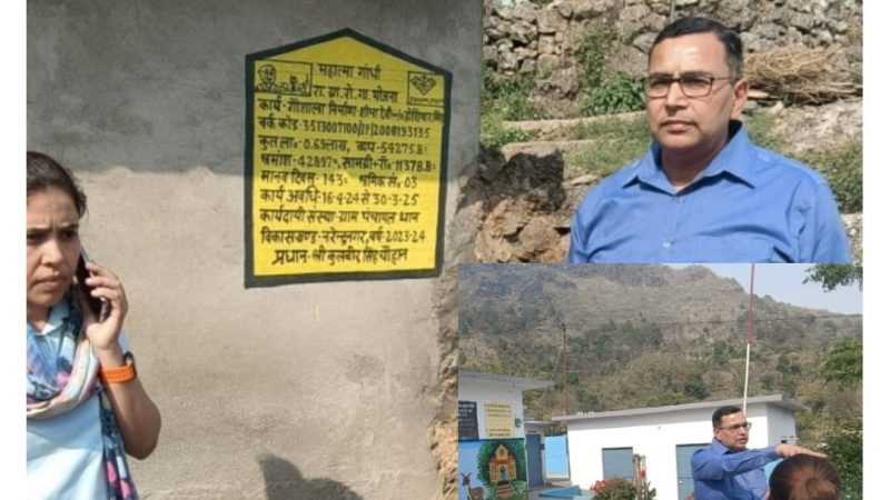 सीडीओ ने ग्राम थान में विकास कार्यों का किया निरीक्षण: गुणवत्ता और शीघ्रता से कार्य पूर्ण करने के दिए निर्देश