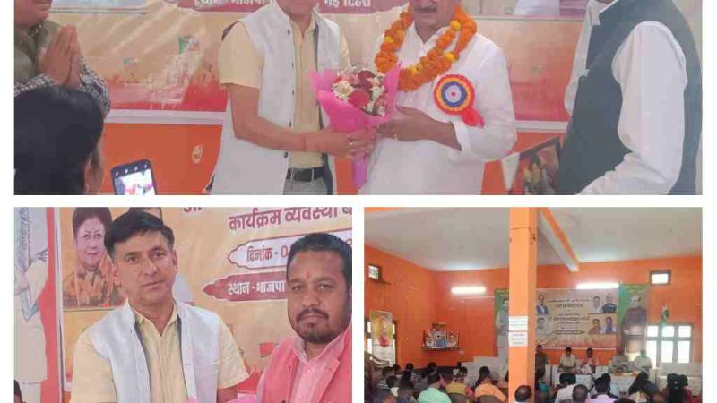 भाजपा स्थापना दिवस और अंबेडकर जयंती की तैयारियों को लेकर बैठक आयोजित