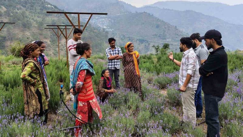 औषधीय और सगंध पौधों की खेती से मजबूत हो रही किसानों की आर्थिकी