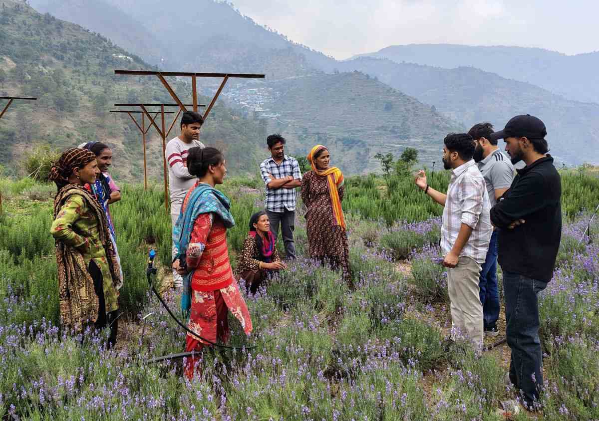 औषधीय और सगंध पौधों की खेती से मजबूत हो रही किसानों की आर्थिकी