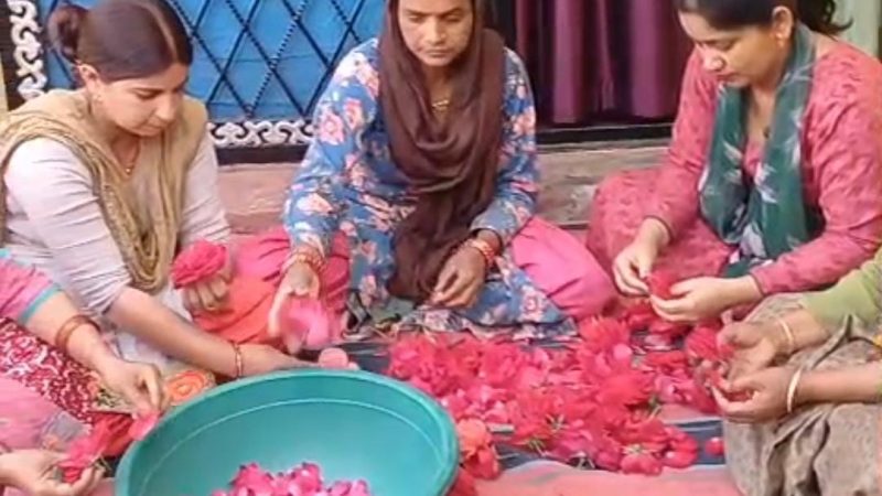स्वरोजगार अपनाकर महिलाएं विकास की राह पर