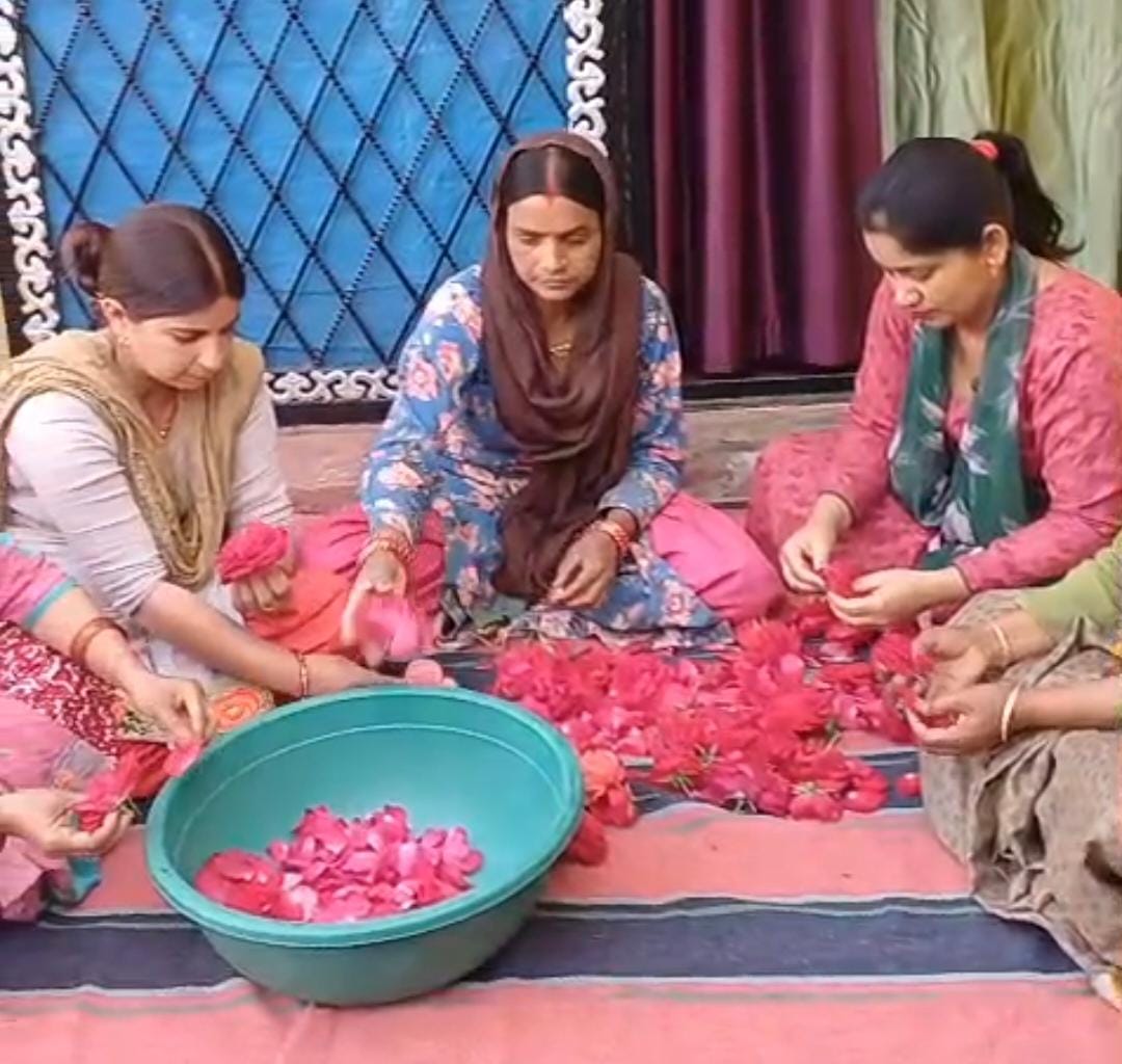 स्वरोजगार अपनाकर महिलाएं विकास की राह पर