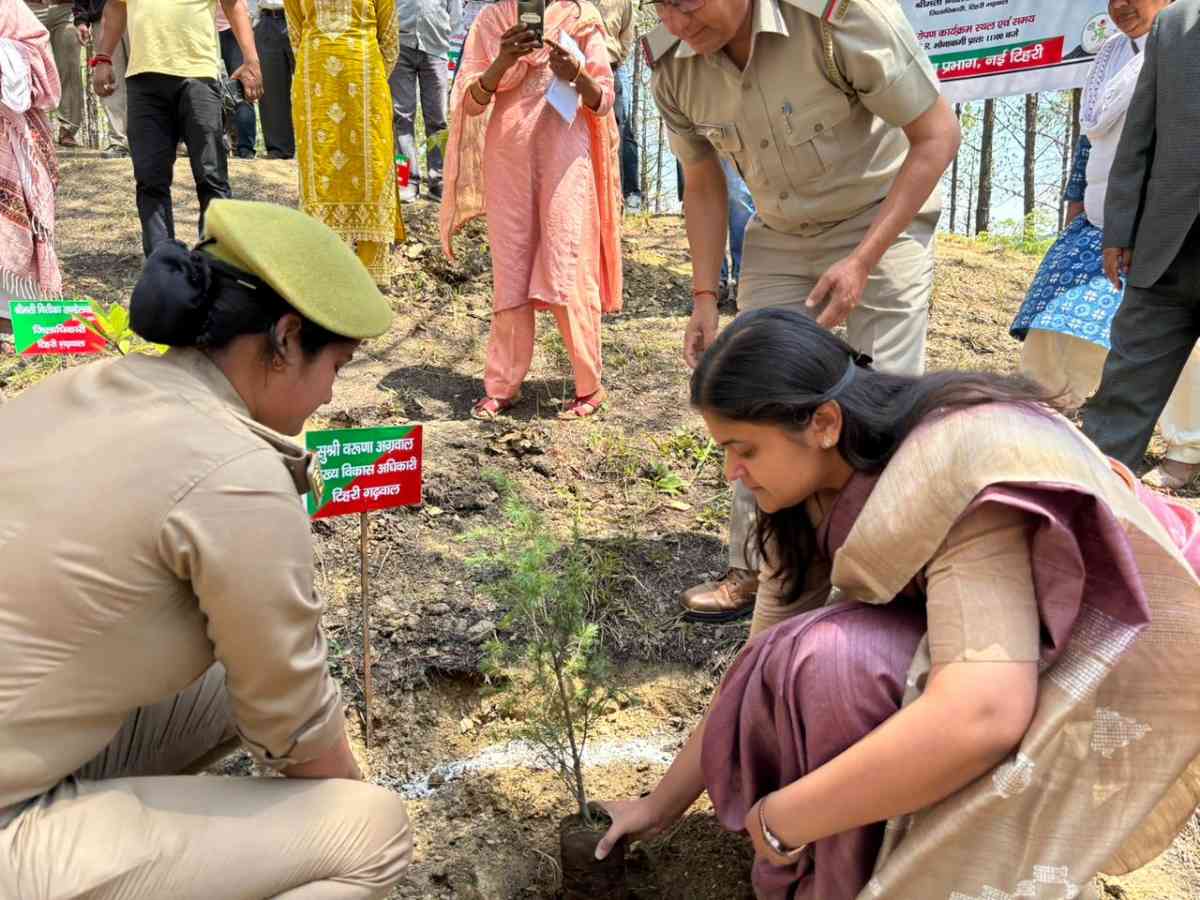 विश्व पर्यावरण दिवस पर टिहरी में पौधारोपण, दौड़ व जागरूकता शपथ