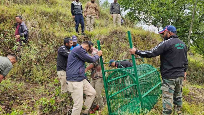 गुलदार हमले के बाद वन विभाग अलर्ट मोड में