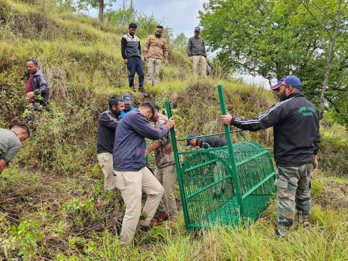 गुलदार हमले के बाद वन विभाग अलर्ट मोड में
