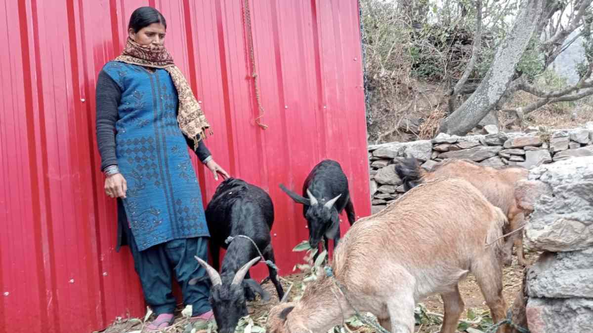 ग्रामोत्थान परियोजना से महिलाओं की आजीविका को मिला मजबूत सहारा